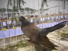 DSCN0221
