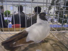 DSCN0232