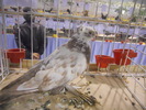 DSCN0237