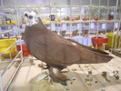 DSCN0239