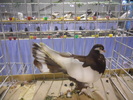 DSCN0241