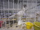 DSCN0242