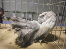 DSCN0246