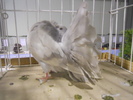 DSCN0249