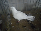 DSCN0262