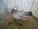 DSCN0263