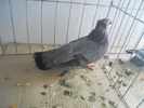 DSCN0264