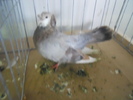 DSCN0274