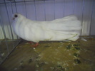 DSCN0301