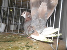 DSCN0382