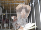 DSCN0383