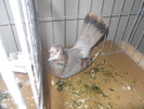 DSCN0384
