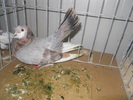 DSCN0385