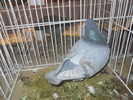 DSCN0389