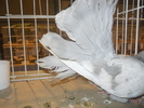 DSCN0393