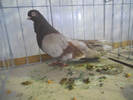DSCN0290