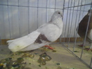 DSCN0291