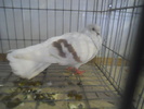 DSCN0292