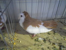 DSCN0294