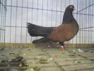 DSCN0305