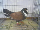 DSCN0307