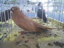 DSCN0311