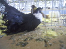 DSCN0312