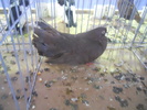 DSCN0314