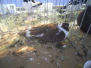 DSCN0315