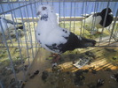 DSCN0316