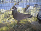 DSCN0317