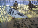 DSCN0319