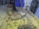 DSCN0320