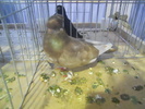DSCN0321