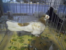 DSCN0322