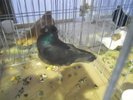 DSCN0323