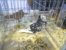 DSCN0324