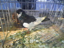 DSCN0326