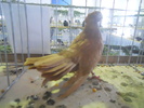 DSCN0327