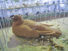 DSCN0328