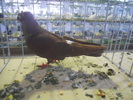 DSCN0330