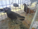 DSCN0335