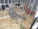 DSCN0337