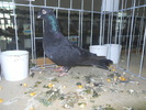 DSCN0340
