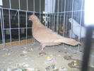 DSCN0341