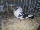 DSCN0343