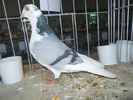 DSCN0401