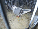 DSCN0402