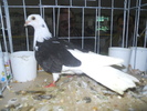 DSCN0403