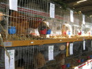 ausstellung-machtrenk